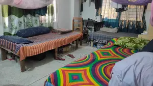 Bachelor To-Let