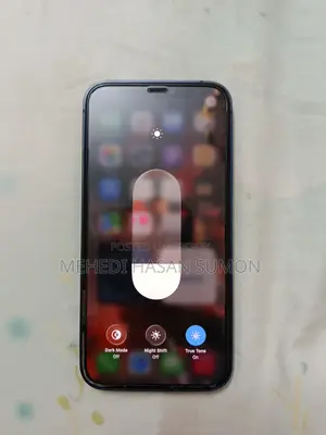 Apple iPhone 12 (Used)