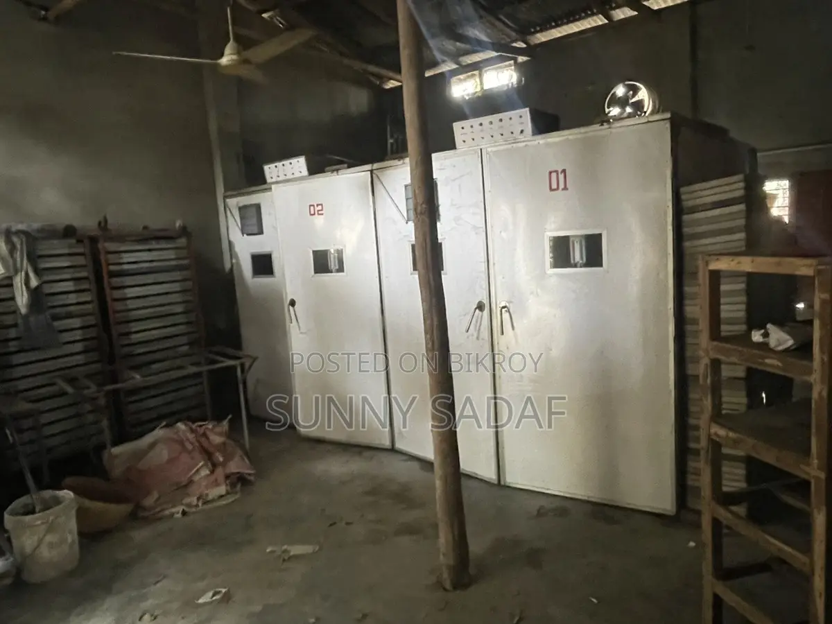 Incubator Machine