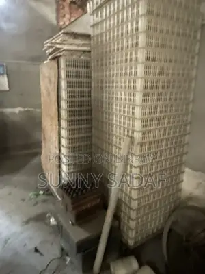 Incubator Machine
