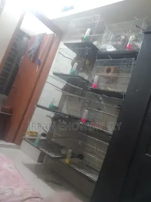 পাখির খাঁচা