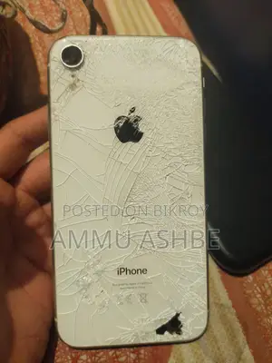 Apple iPhone XR (Used)