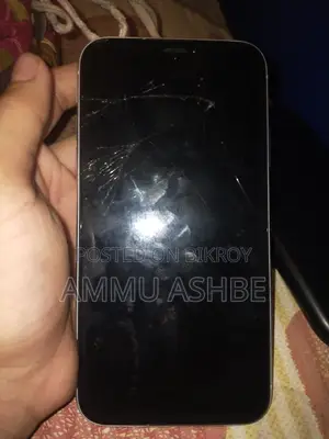 Apple iPhone XR (Used)