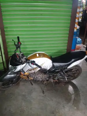 Yamaha FZ 1 . 2010