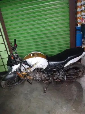 Yamaha FZ 1 . 2010