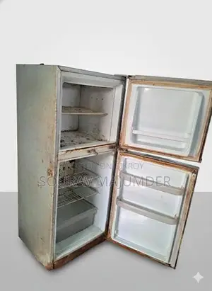 Refrigerator Gold Star