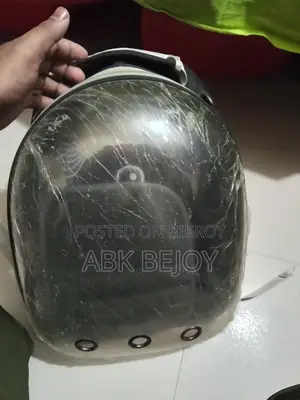 বিড়ালের ব্যাগ