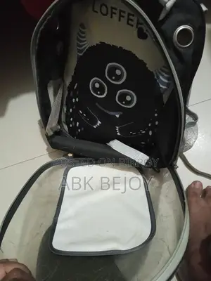 বিড়ালের ব্যাগ