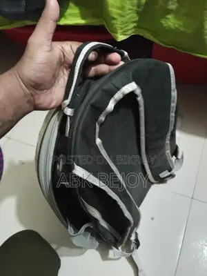 বিড়ালের ব্যাগ