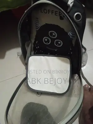 বিড়ালের ব্যাগ