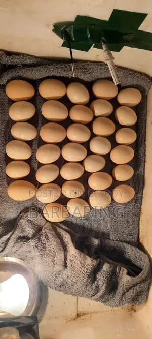 Deshi Chicken Eggs
