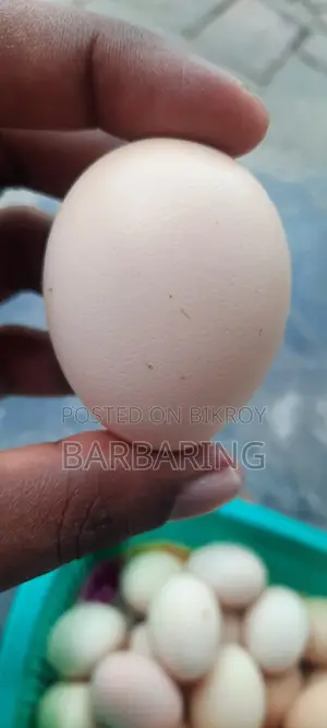 Deshi Chicken Eggs