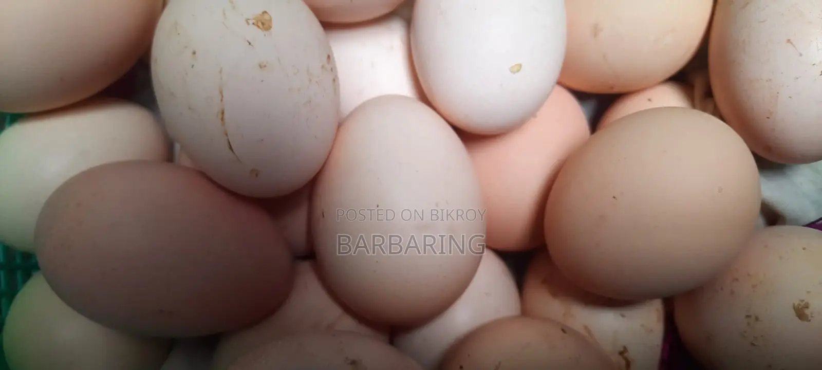 Deshi Chicken Eggs