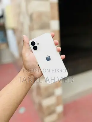 Apple iPhone 12 (Used)