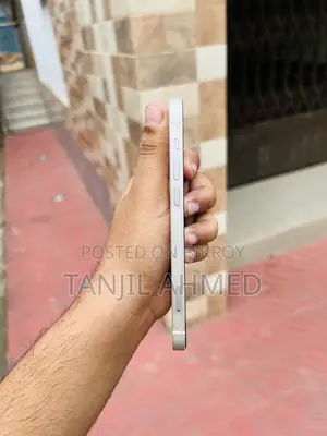 Apple iPhone 12 (Used)