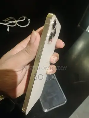 Apple iPhone 12 Pro Max used phone (Used)