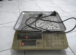 ডিজিটাল পাল