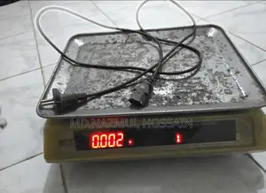 ডিজিটাল পাল