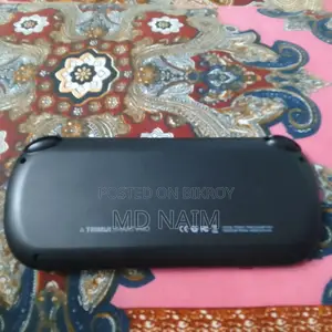 Trimui Smart Pro