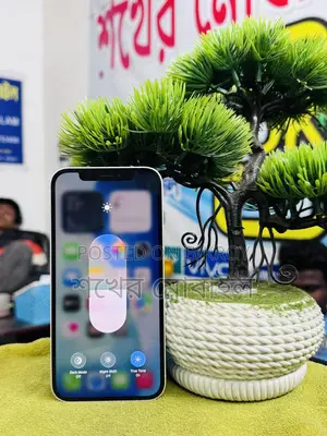 Apple iPhone 12 (Used)