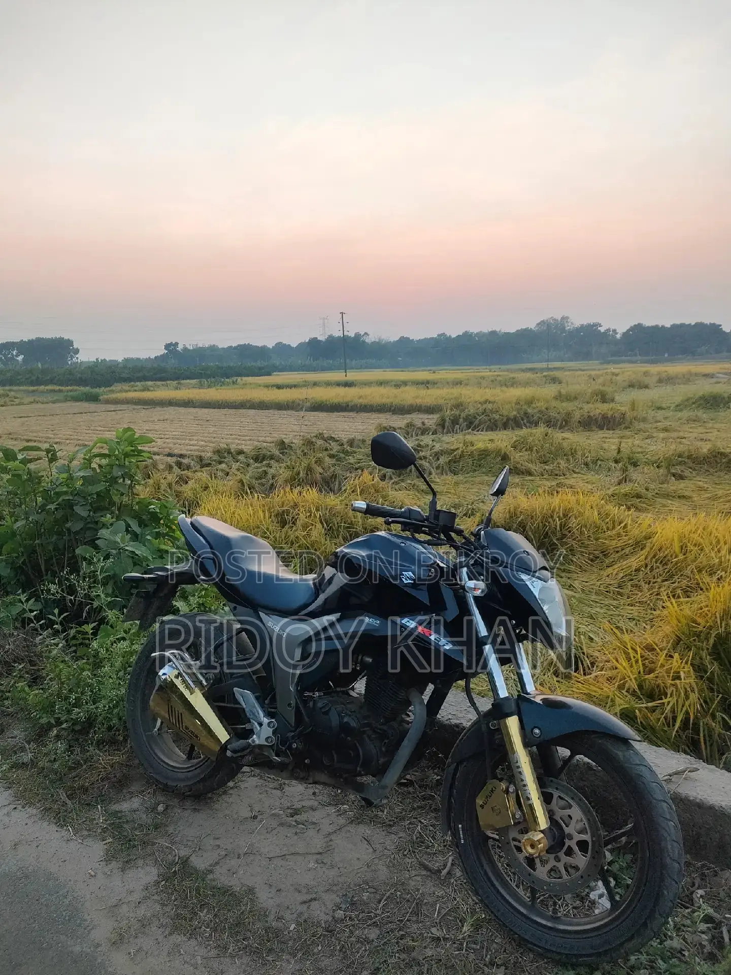 Suzuki Gixxer Monotone 2022