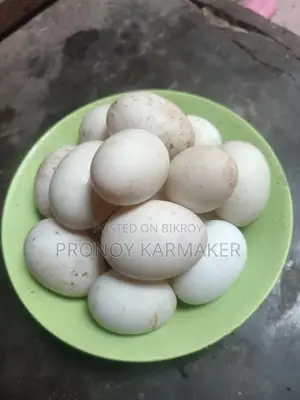 দেশি হাঁসের ডিম