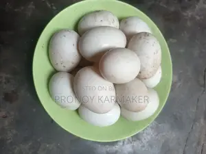 Deshi Duck Eggs