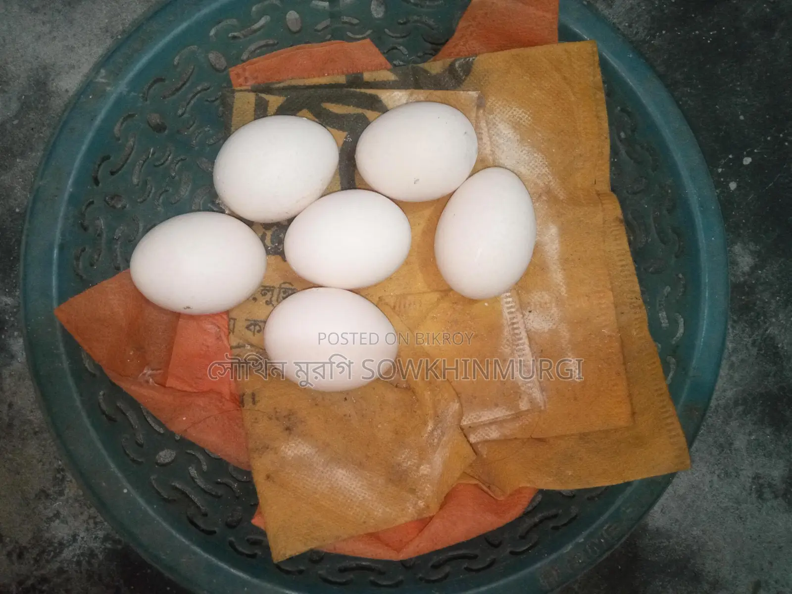 শট সিল্কি মুরগির বীজ ডিম প্রতি