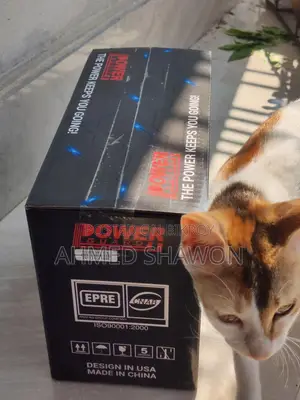 Power Guard ups