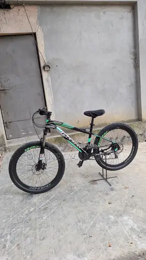 Phoenix Bicycle for sale