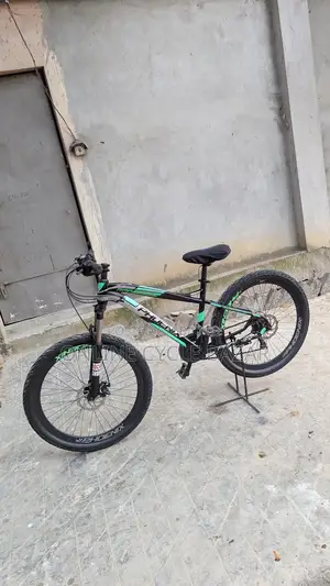 Phoenix Bicycle for sale