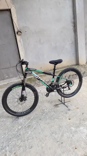 Phoenix Bicycle for sale