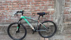 phonex fresh condition all ok 100% bicicle