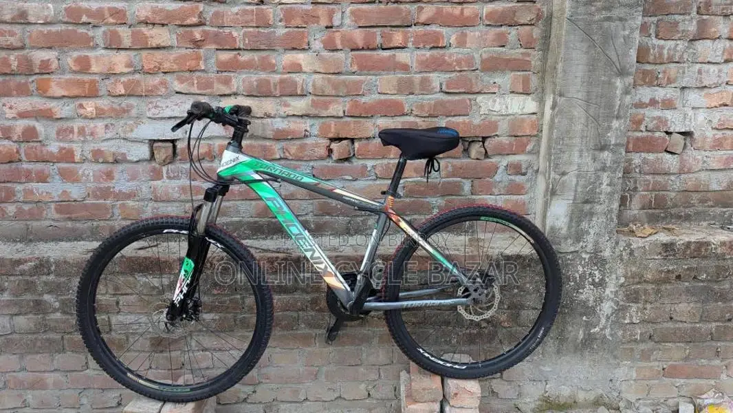 phonex fresh condition all ok 100% bicicle
