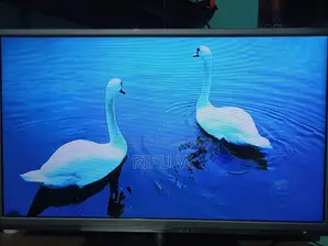 Walton 32" Android voice controller