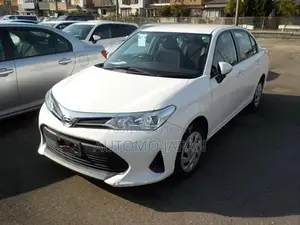 Toyota Axio EX 2020