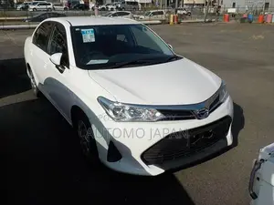 Toyota Axio EX 2020