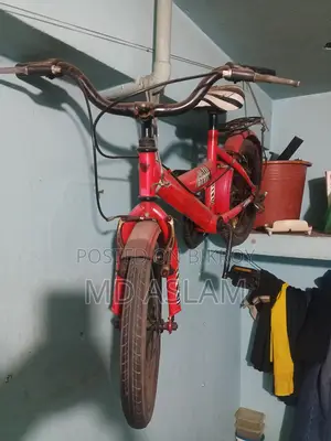 16" cycle