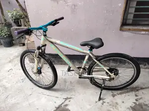 Stunt Modded Bicycle