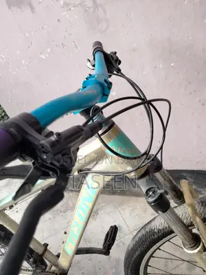 Stunt Modded Bicycle