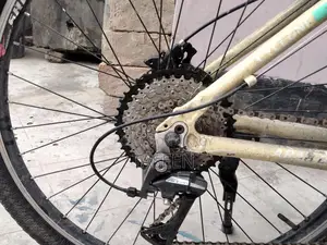Stunt Modded Bicycle