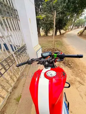 TVS Apache RTR 160 4V 2019