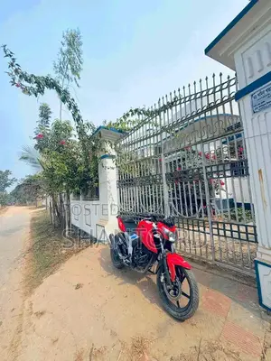 TVS Apache RTR 160 4V 2019