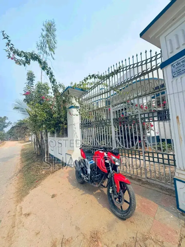 TVS Apache RTR 160 4V 2019