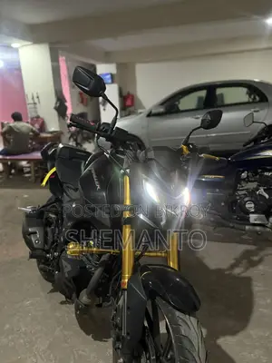 Hero Thriller 160R . 2024
