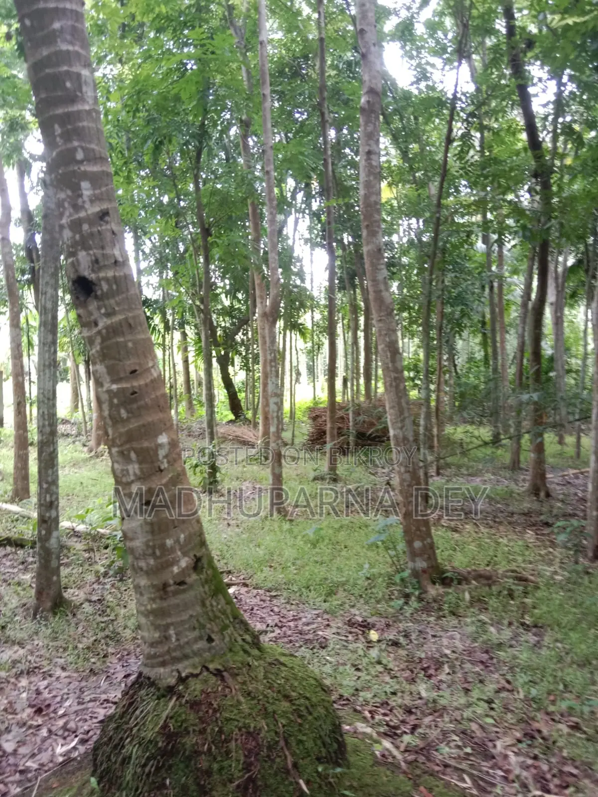 Garden House, Land for Sale
