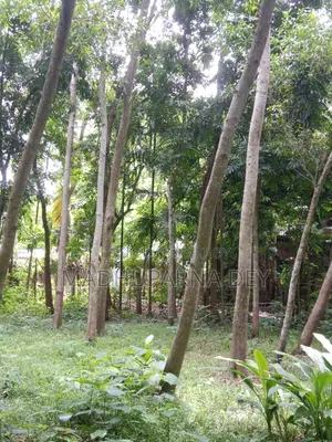 বাগানবাড়ি, জমি বিক্রয়