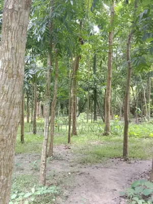 Garden House, Land for Sale