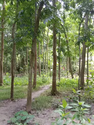 Garden House, Land for Sale