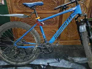 Duronto Gear Cycle with Oil Brakes